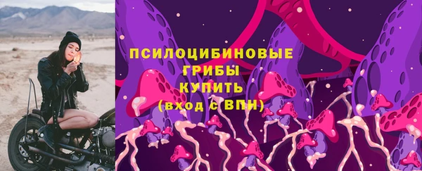 соль ск Алексин