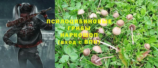 СК Алексеевка