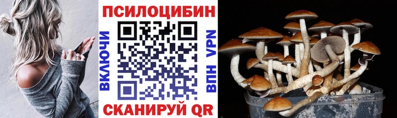 Галлюциногенные грибы мицелий Покров